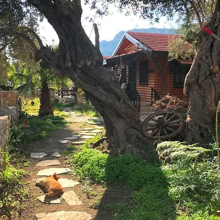 Botanik Bungalov Holiday home