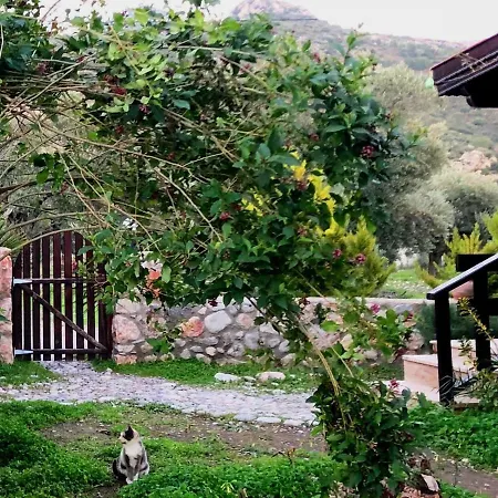 Botanik Bungalov Holiday home *