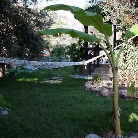 Botanik Bungalov Holiday home