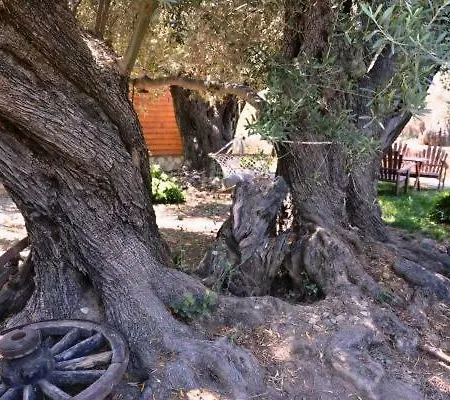 Botanik Bungalov Holiday home